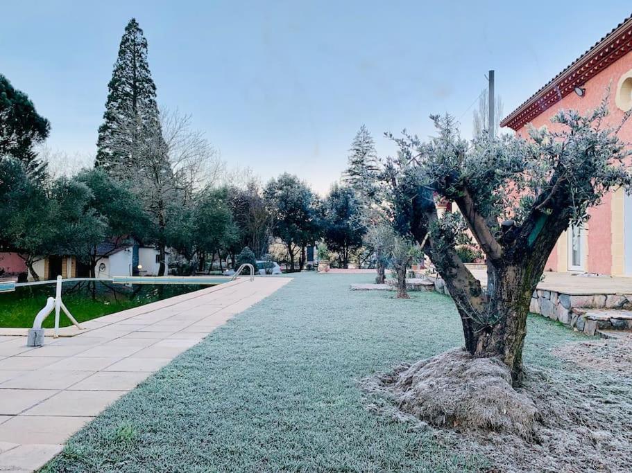 Le Loft Occitanie Sud De France Apartment Ceilhes-et-Rocozels Bagian luar foto